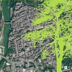 Alberi in città. Istruzioni per l’uso