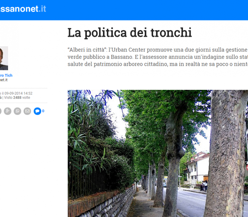 La politica dei tronchi – Bassanonet